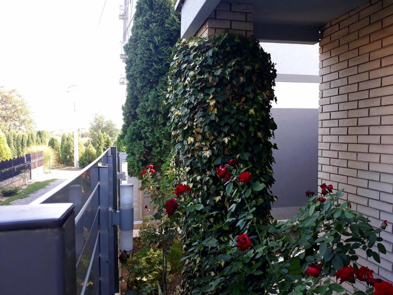 Apartments Popovic Beograd Eksteriør bilde